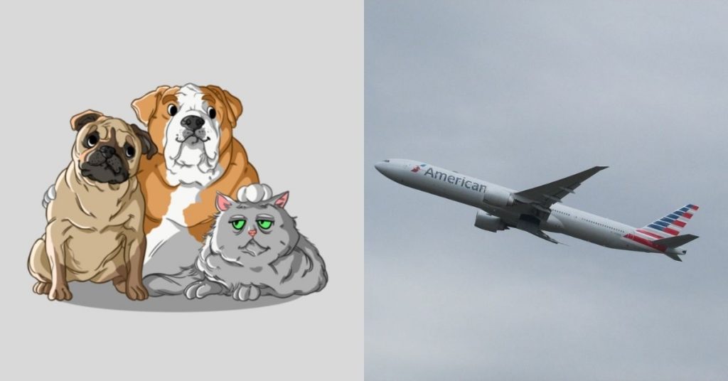 airlines that allow snub-nosed dogs in 2022