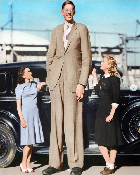 The tallest man ever
