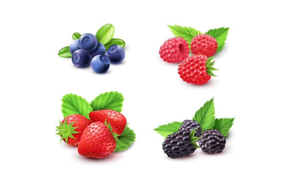Berries prevent obesity